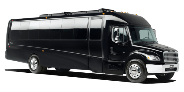 Executive Mini Coach